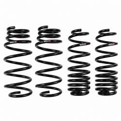 RS-R 09-13 Fit Superdown SUS Lowering Springs